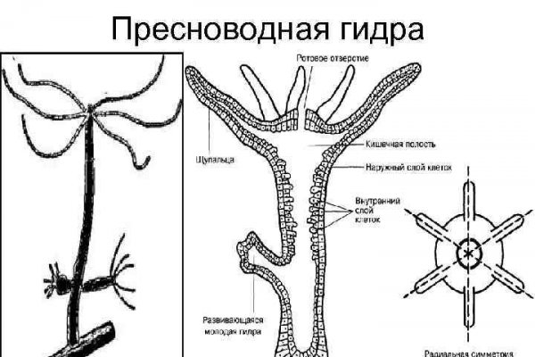 Новая ссылка на гидру