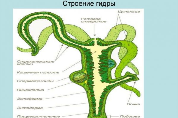 Kraken ссылка на сайт тор